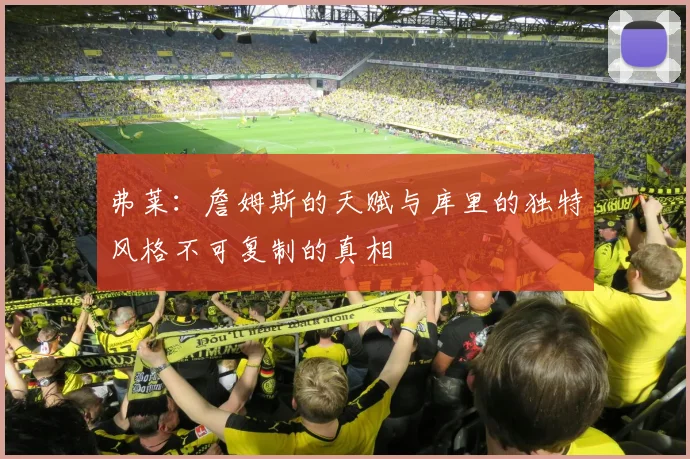 弗莱：詹姆斯的天赋与库里的独特风格不可复制的真相