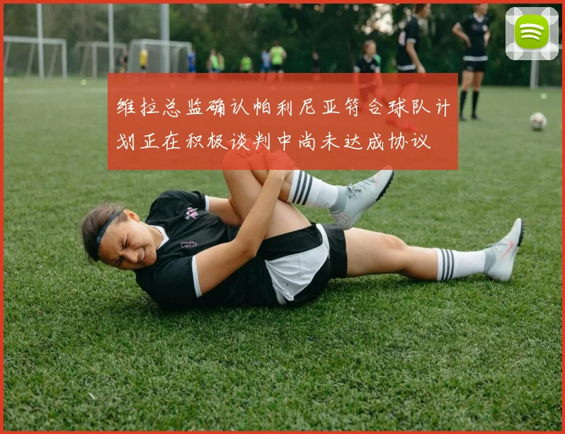 维拉总监确认帕利尼亚符合球队计划正在积极谈判中尚未达成协议